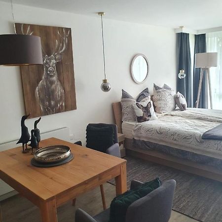 Maurers Schlierseetraum 6, Studio 455 Mit 42 Qm Neu Renoviert, Erdgeschoss Mit Eingezaeunter Terrasse In Ruhiger Lage Am Kirchbichlweg 8 Exterior photo