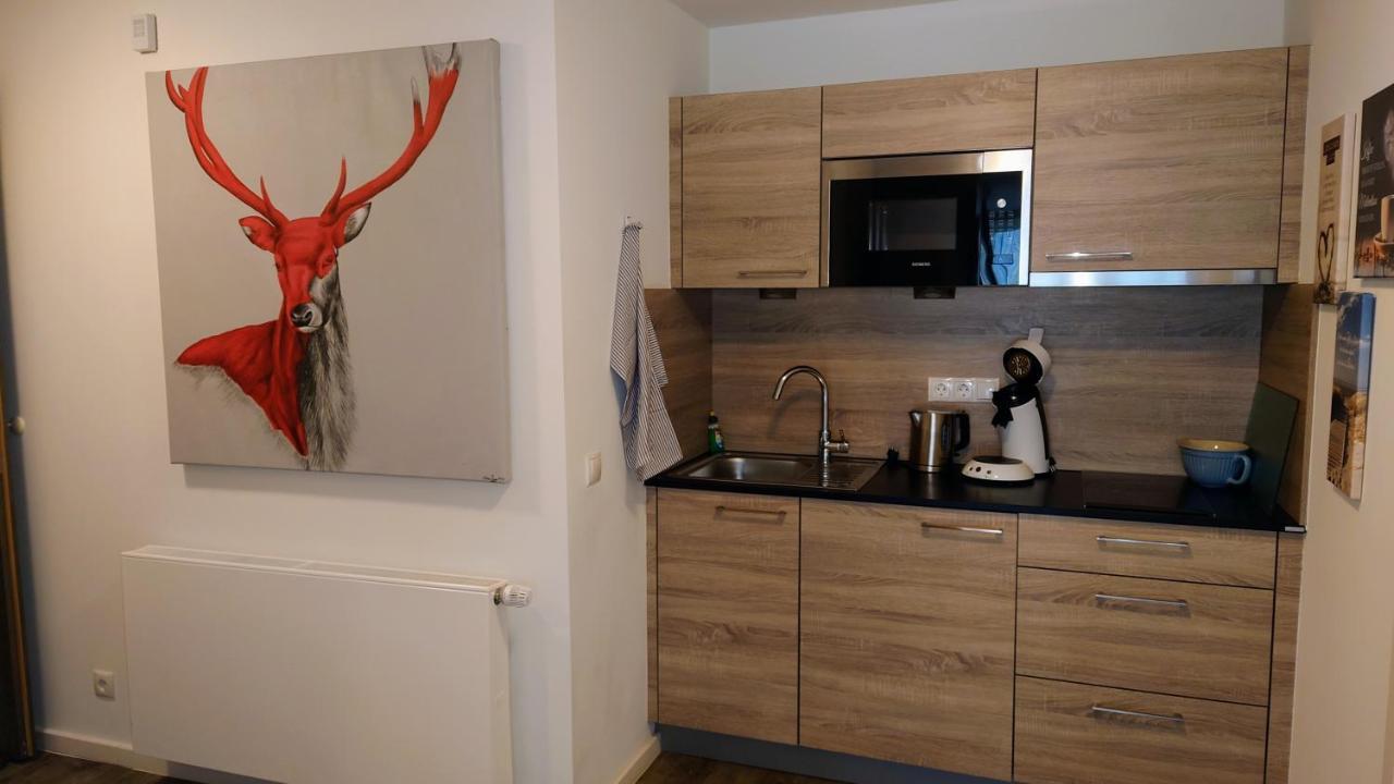 Maurers Schlierseetraum 6, Studio 455 Mit 42 Qm Neu Renoviert, Erdgeschoss Mit Eingezaeunter Terrasse In Ruhiger Lage Am Kirchbichlweg 8 Exterior photo