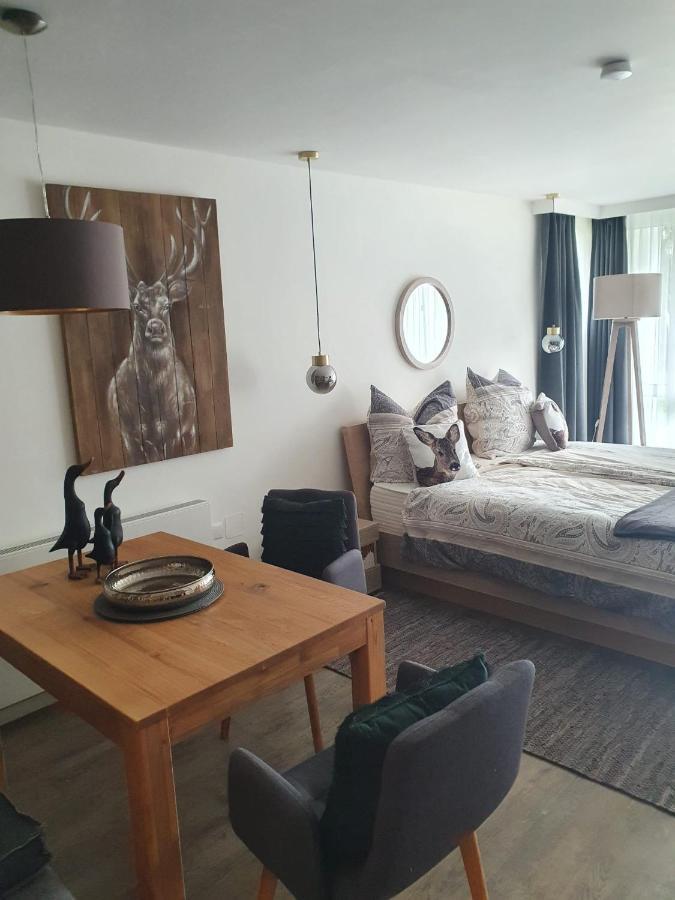 Maurers Schlierseetraum 6, Studio 455 Mit 42 Qm Neu Renoviert, Erdgeschoss Mit Eingezaeunter Terrasse In Ruhiger Lage Am Kirchbichlweg 8 Exterior photo
